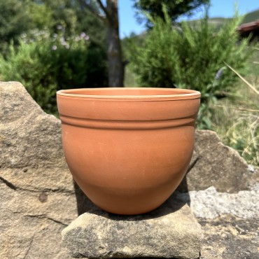 Гала | Натурална