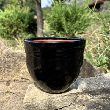 Гала | Черен гланц