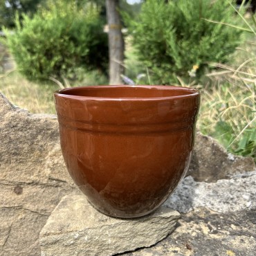 Гала | Кафява