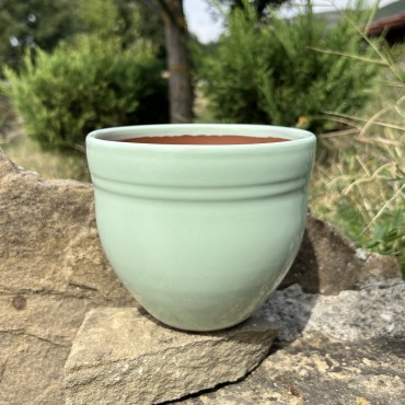 Гала | Резеда